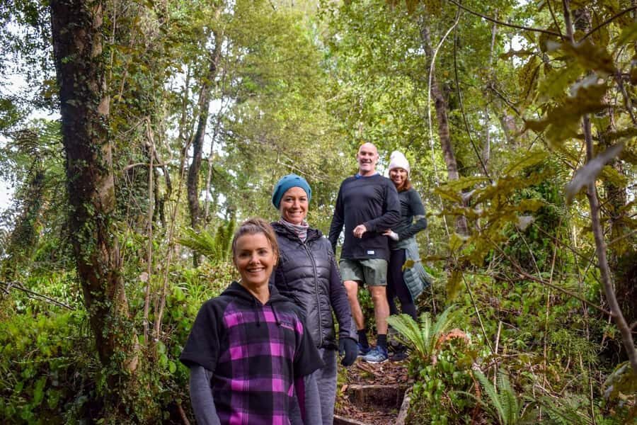 Franz Josef Glacier: 2.5-Hour Lake Mapourika Cruise and Walk - Who this tour suits best (and who may want to skip)