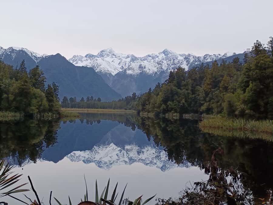 Franz Josef: Half-Day Nature Tour to Lake Matheson - The forest loop: gentle track, bridges, and mountain streams