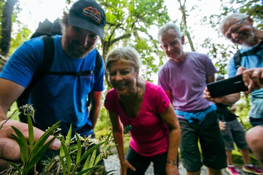 Franz Josef: Half-Day Nature Tour to Lake Matheson - Value check: is $62 worth it for a 4-hour walk?