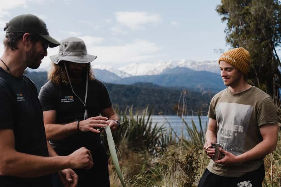 Franz Josef: Kayak & Walking Tour to Okarito Kiwi Sanctuary - Westland National Park walk: ancient podocarp forest on a guided path