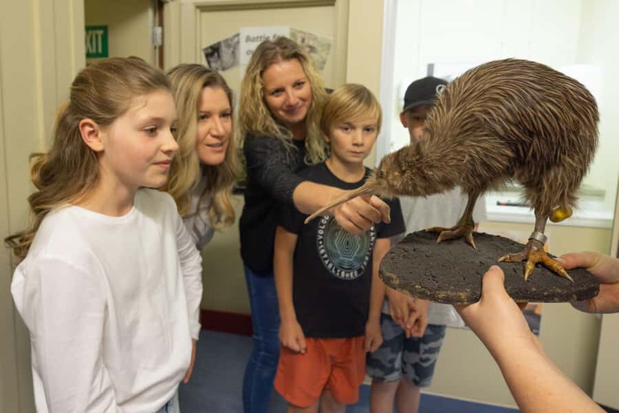 Franz Josef: Kiwi VIP Backstage Pass Tour -Booking Essential - West Coast Wildlife Centre: why this kiwi facility matters