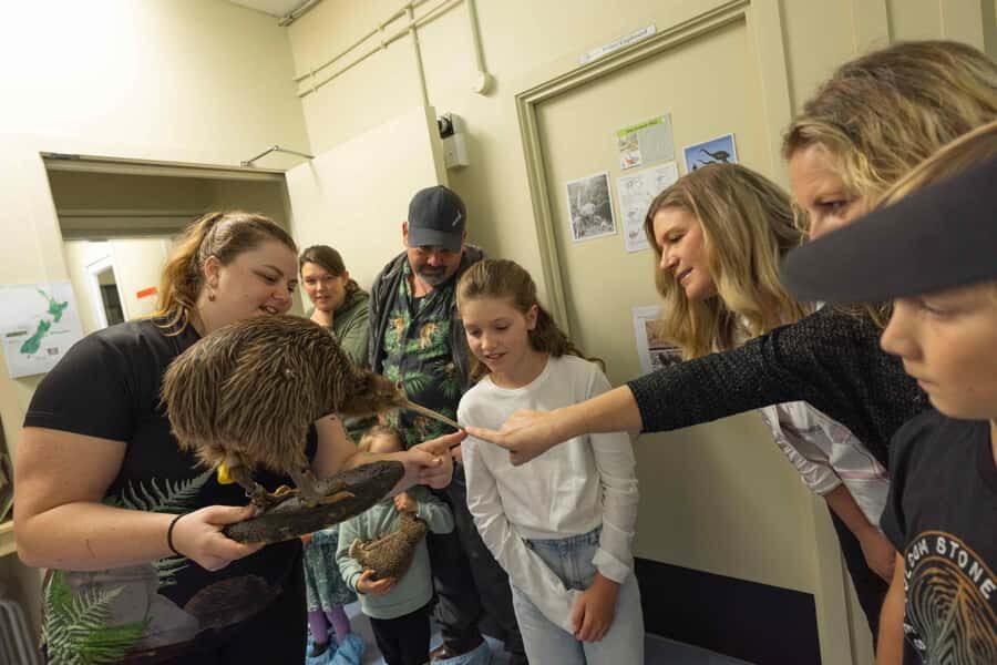 Franz Josef: Kiwi VIP Backstage Pass Tour -Booking Essential - Kiwi incubation and hatching: seeing rare kiwi care up close