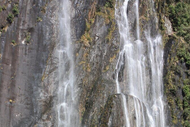 Franz Josef Nature Tour - Weather readiness: what you should expect when the sky is grey