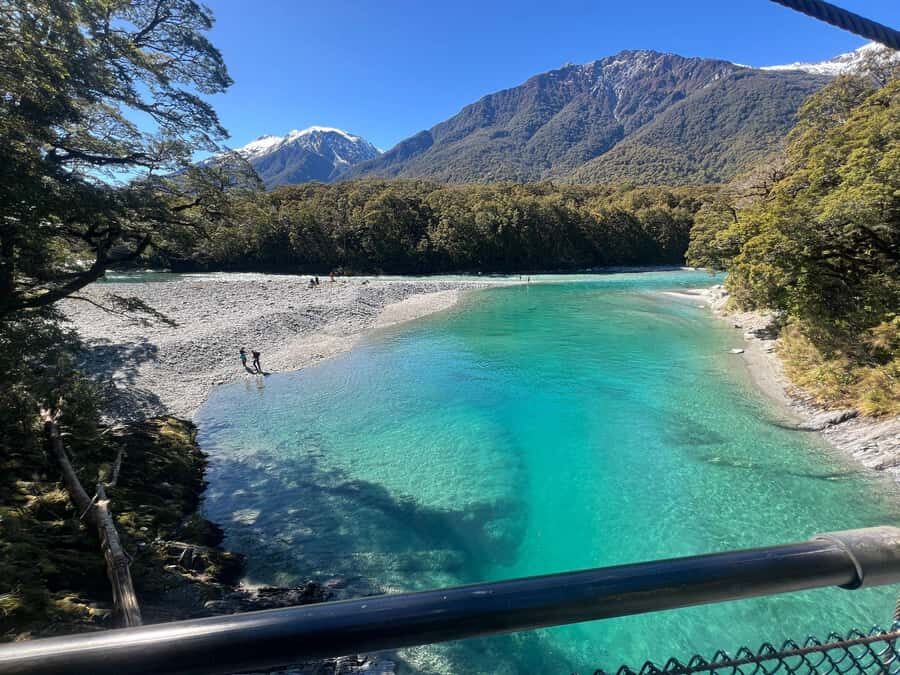 Franz Josef to Queenstown small group tour (One-Way) - Bruce Bay and Ship Creek: when the rainforest meets open ocean