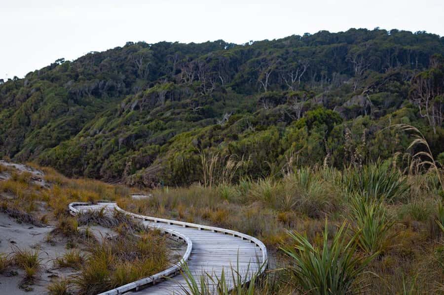 Franz Josef to Queenstown small group tour (One-Way) - Blue Pools in Mount Aspiring National Park