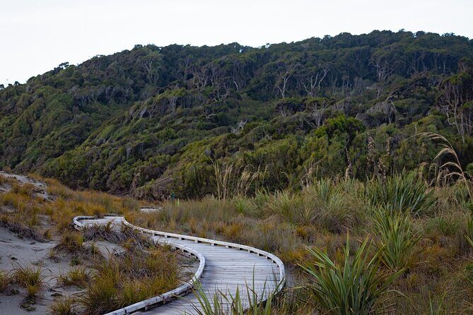 Franz Josef to Queenstown Small Group Tour via Wanaka 1 -Way - The guide experience: keeping the day engaging on a long drive
