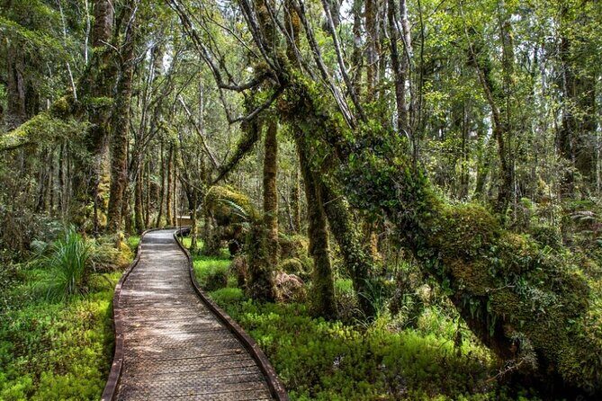 Franz Josef to Queenstown Small Group Tour via Wanaka 1 -Way - Who this tour suits best
