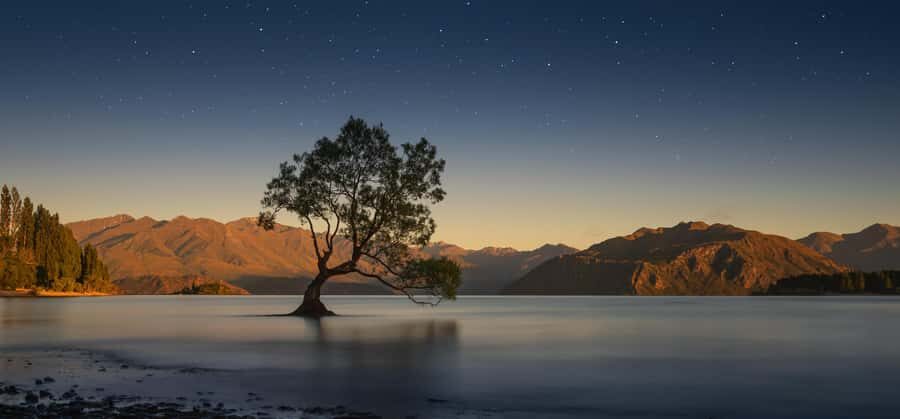 Franz Josef to Queenstown Tour via Wānaka - Small-Group Comfort: Minibuses, Lunch, and How the Day Feels