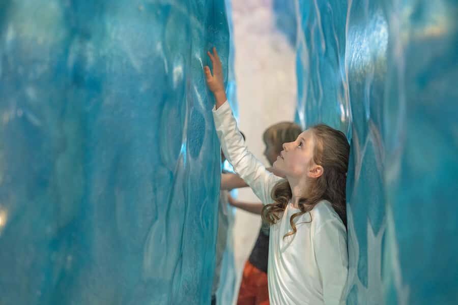 Franz Josef: West Coast Wildlife Centre Entry Ticket -48 hrs - How the 48-hour pass works: pace yourself across two days