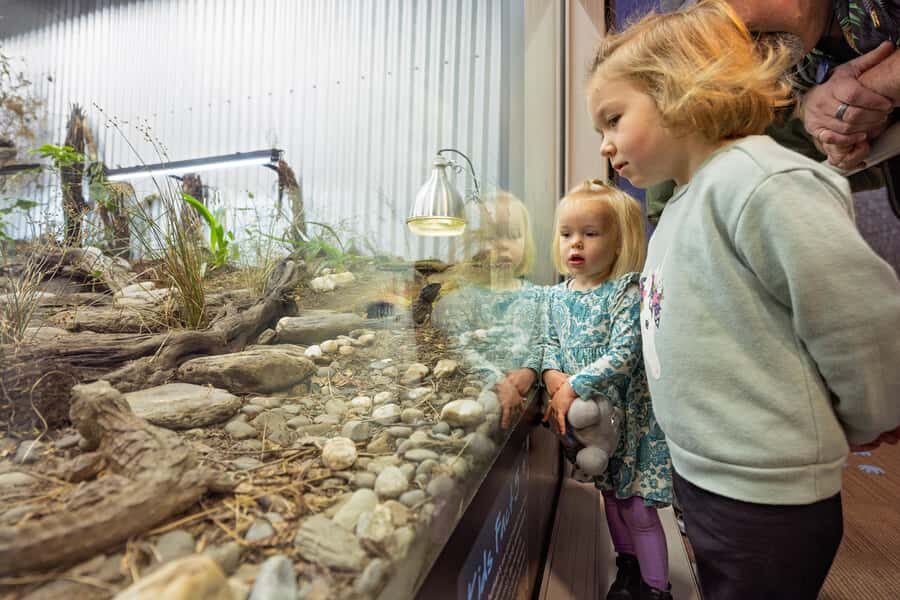Franz Josef: West Coast Wildlife Centre Entry Ticket -48 hrs - The fine print that can affect your day