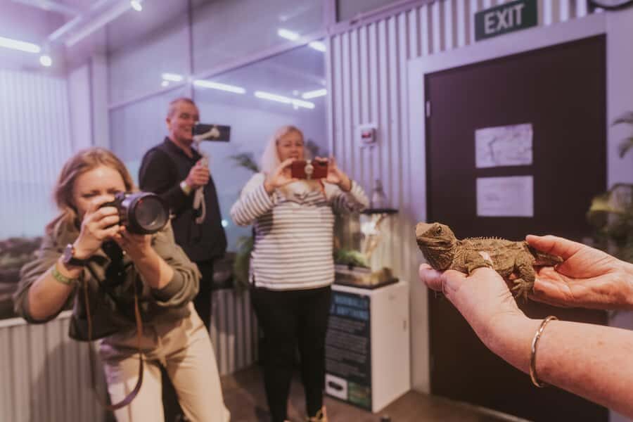 Franz Josef: West Coast Wildlife Centre Entry Ticket -48 hrs - Kiwi incubation and open nocturnal viewing with no glass barriers