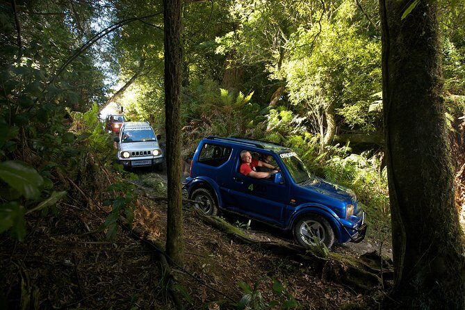 Freak of Nature at Off Road NZ - Bush Safari self-drive: steering the rugged forest routes