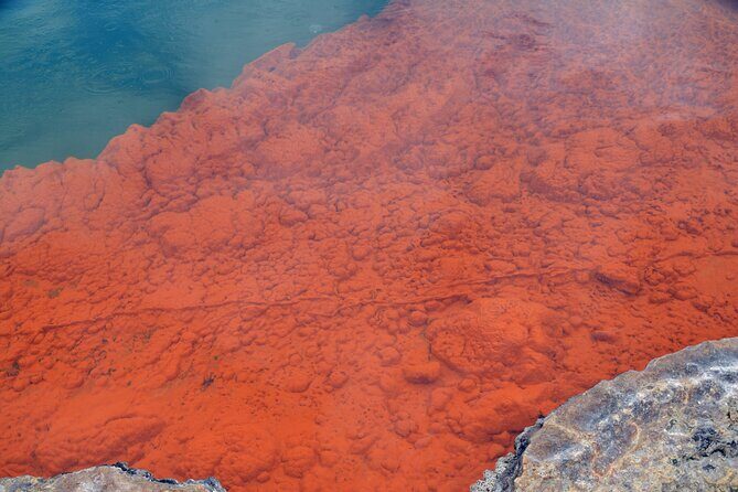 From Auckand: Waiotapu and Polynesian Spa Rotorua Day Tour - A 6am start that sets you up for Rotorua time, not traffic time