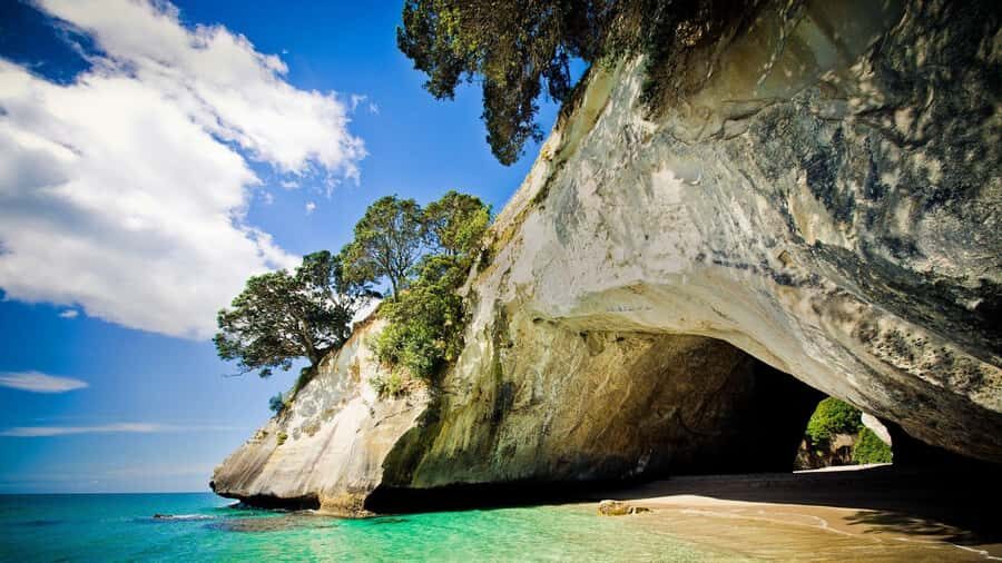 From Auckland: Cathedral Cove & Hot Water Beach Tour - Coromandel in One Shot: Why These Two Stops Work