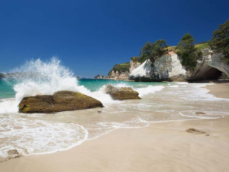 From Auckland: Cathedral Cove & Hot Water Beach Tour - Leaving Auckland: The Waikato Drive That Sets the Tone