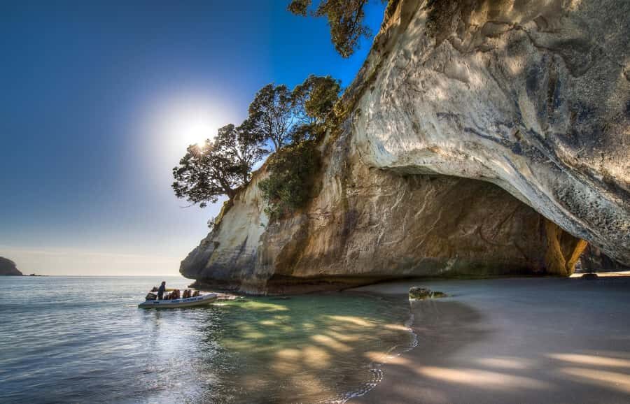 From Auckland: Cathedral Cove & Hot Water Beach Tour - Timing, Tides, and the Day’s Most Important Variable