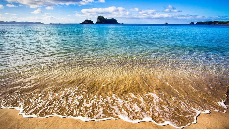 From Auckland: Cathedral Cove & Hot Water Beach Tour - The Kiwi-Style Picnic Break: Lunch Without the Rush