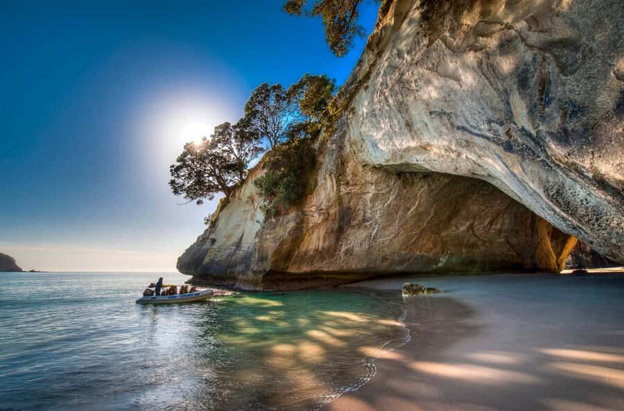 From Auckland: Cathedral Cove & Hot Water Beach Tour - Hot Water Beach: Digging Your Own Spa Pool in Real Life