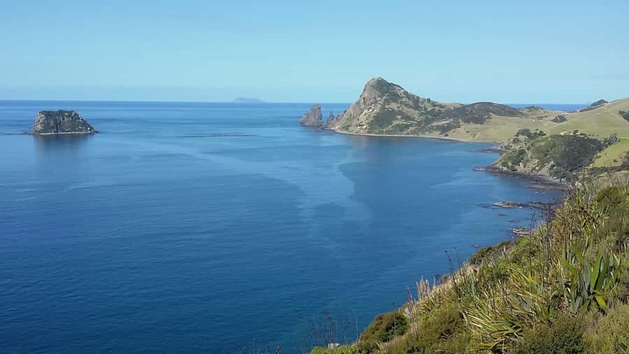 From Auckland: Cathedral Cove & Hot Water Beach Tour - Practical Packing Checklist That Actually Helps
