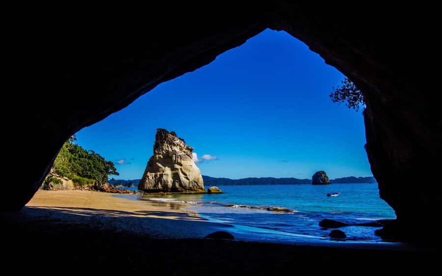 From Auckland: Cathedral Cove & Hot Water Beach Tour - Cathedral Cove Marine Reserve: The Walk, the Cavern, the Narnia Factor