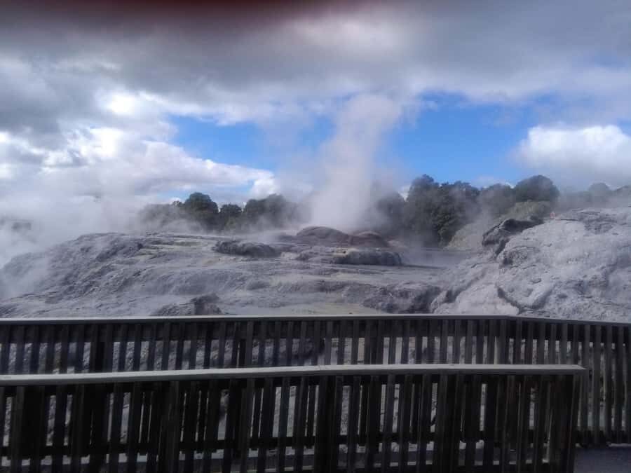 From Auckland: Day Trip to Rotorua with Optional extras - Key points to know before you go