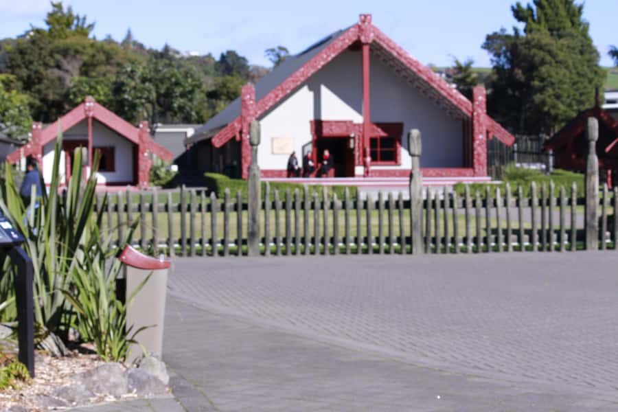 From Auckland: Day Trip to Rotorua with Optional extras - Tips to make the day smoother (small choices, big payoff)