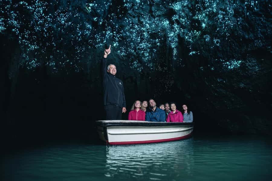 From Auckland: Day Trip to Waitomo Glow Worm Caves - Key things I’d zero in on