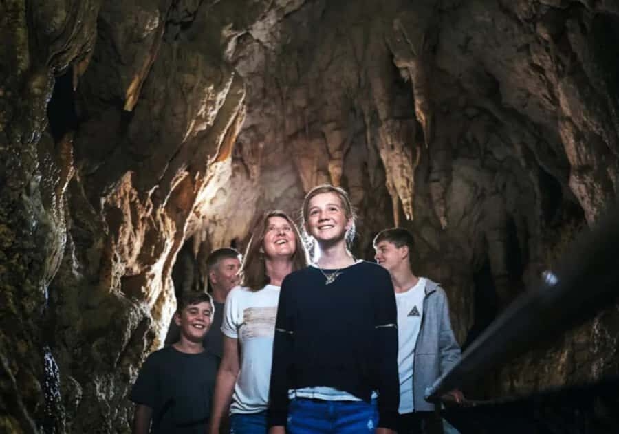 From Auckland: Day Trip to Waitomo Glow Worm Caves - The Silent Boat Cruise: Watching the River Under a Starry Ceiling
