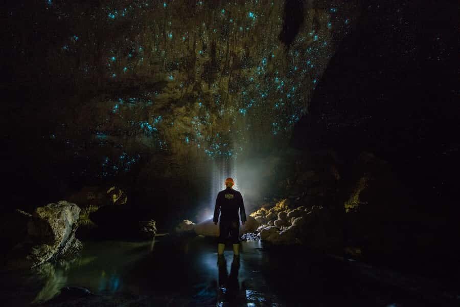 From Auckland: Day Trip to Waitomo Glow Worm Caves - FAQ