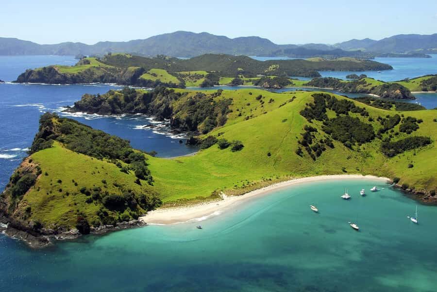 From Auckland: Full Day Private Tour to the Bay of Islands - Key things you’ll notice right away