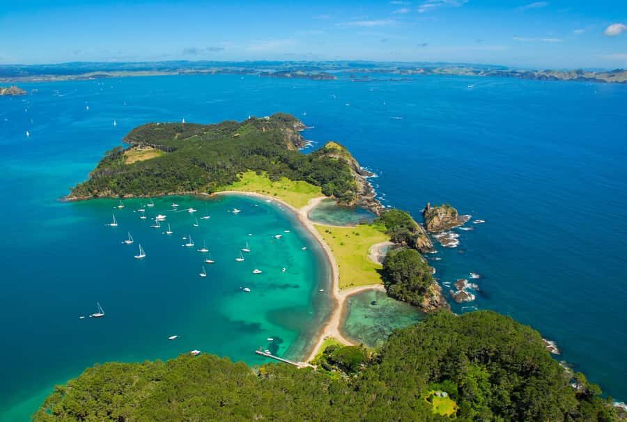 From Auckland: Full Day Private Tour to the Bay of Islands - Auckland to the Bay of Islands: the long-drive start you can actually enjoy