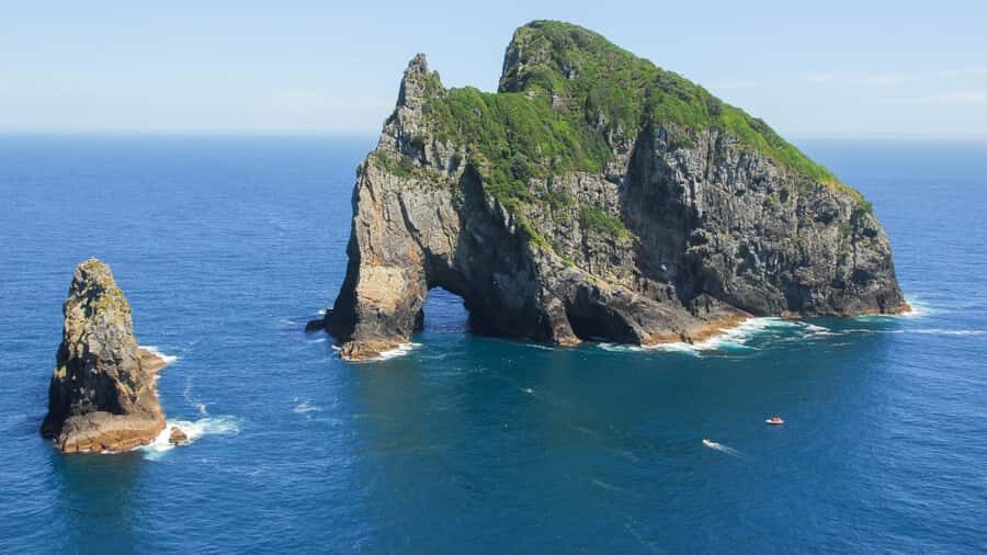 From Auckland: Full Day Private Tour to the Bay of Islands - Urupukapuka Island: beach time plus optional summit views
