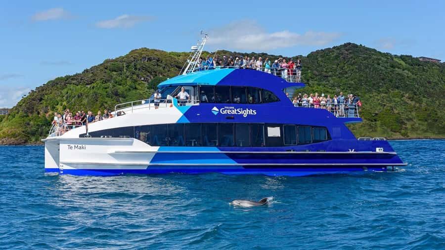 From Auckland: Full Day Private Tour to the Bay of Islands - Price and logistics: what $567 per person really buys