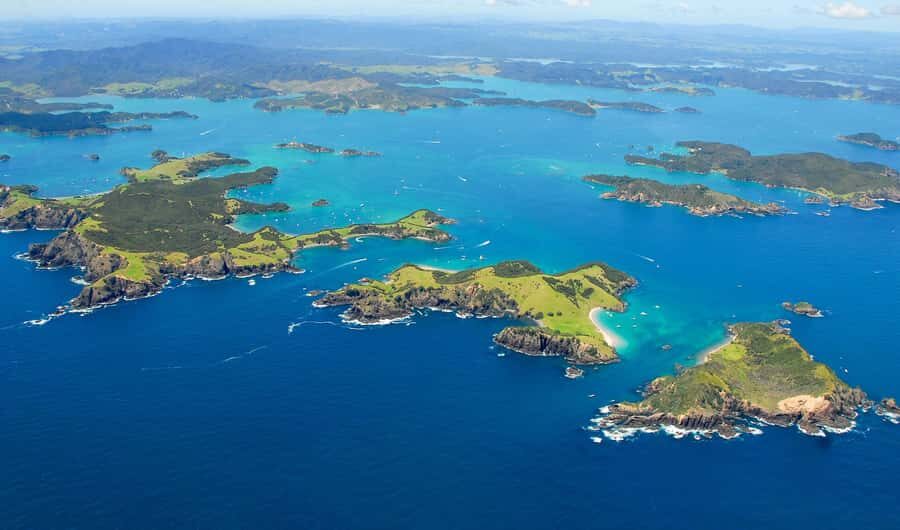 From Auckland: Full Day Private Tour to the Bay of Islands - The catamaran cruise: 4.5 hours of bays, islands, and dolphin odds
