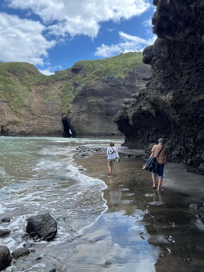 From Auckland: Guided Tour of Piha with Scenic Beach Walks - Key highlights you’ll feel in your day