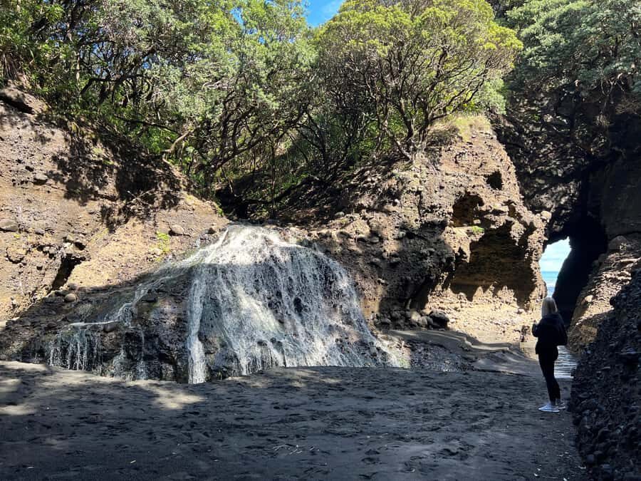From Auckland: Guided Tour of Piha with Scenic Beach Walks - How much walking is it really?