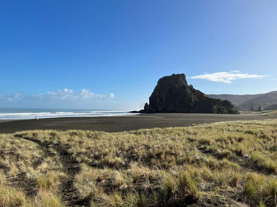 From Auckland: Guided Tour of Piha with Scenic Beach Walks - From the Viaduct to Piha: a West Coast day without the stress
