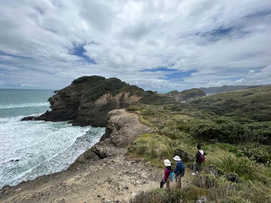 From Auckland: Guided Tour of Piha with Scenic Beach Walks - The barefoot black-sand choice (and what to do about it)