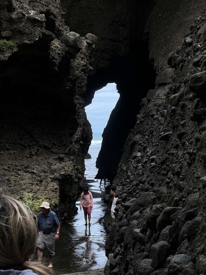From Auckland: Guided Tour of Piha with Scenic Beach Walks - Small group pacing: up to 11 people, with room to breathe