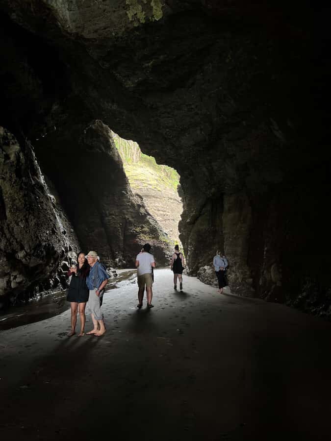 From Auckland: Guided Tour of Piha with Scenic Beach Walks - Waitakere Ranges lookouts: the payoff before the sand