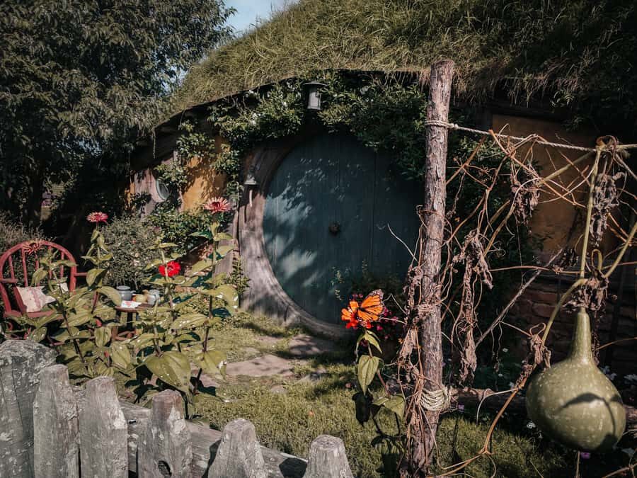 From Auckland: Hobbiton Afternoon Tour - Waikato drive: dairy country scenery and quick photo moments
