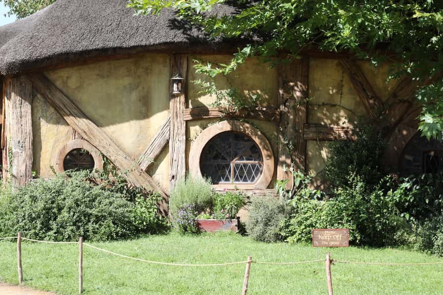 From Auckland: Hobbiton Afternoon Tour - Mercedes minibus comfort: small group, fewer tight squeezes
