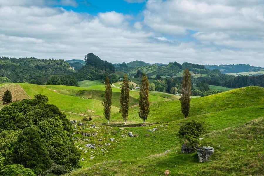 From Auckland: Hobbiton and Waitomo Day Tour with Lunch - Auckland to Waikato: early pickup, long drive, and how to make it easy