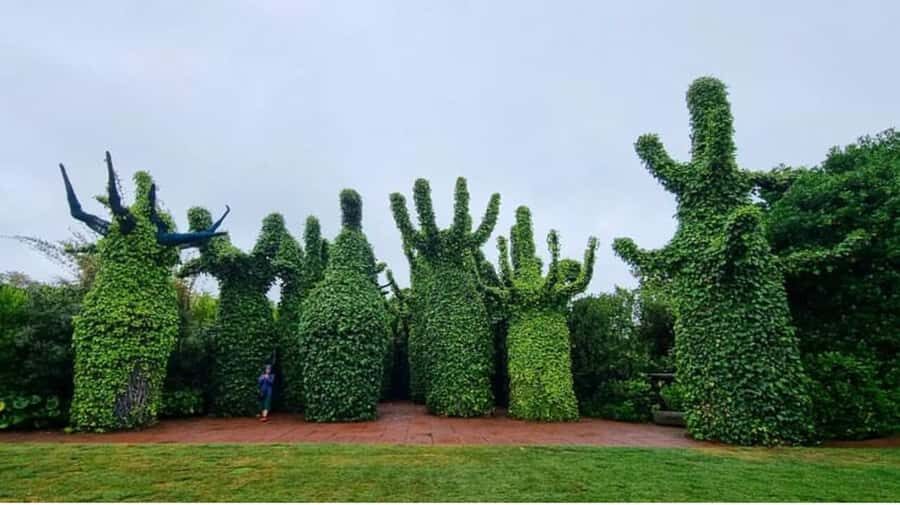 From Auckland: Hobbiton & Hamilton Gardens Small Group Tour - A day trip that strings together two very different worlds