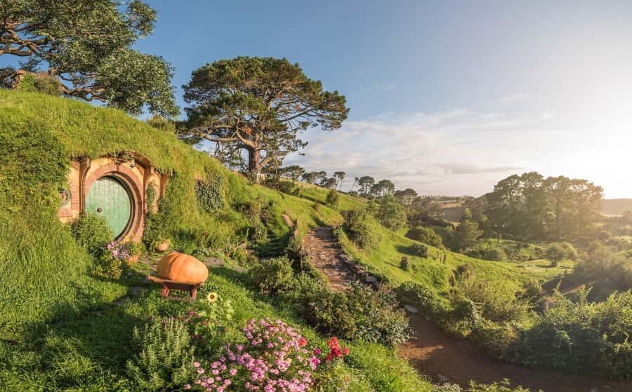 From Auckland: Hobbiton Movie Set Day Tour with Picnic Lunch - The guided walking tour across the Shire (2.5 hours)