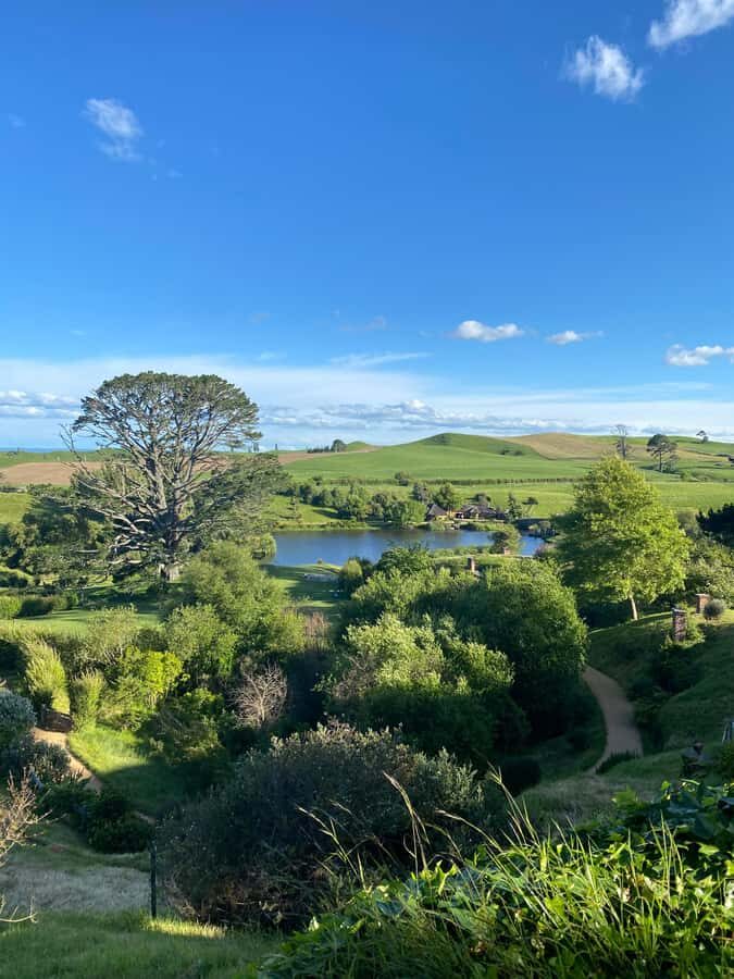From Auckland: Hobbiton Movie Set - Private Tour - Green Dragon Inn Toast: A Drink, a Break, and More Shire Vibes