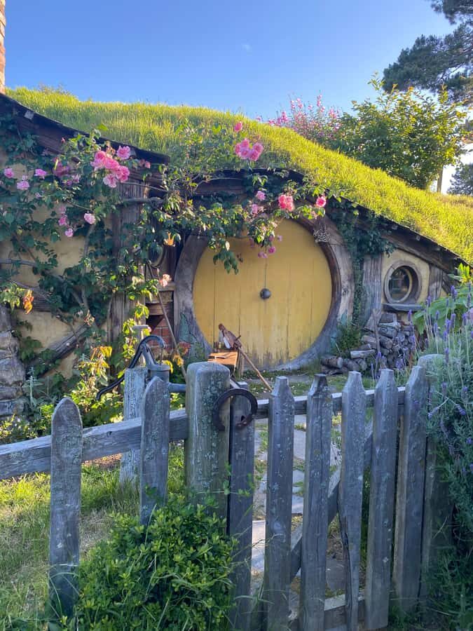 From Auckland: Hobbiton Movie Set - Private Tour - Why Hobbiton Feels Like a Real-Time Middle-earth Day Trip