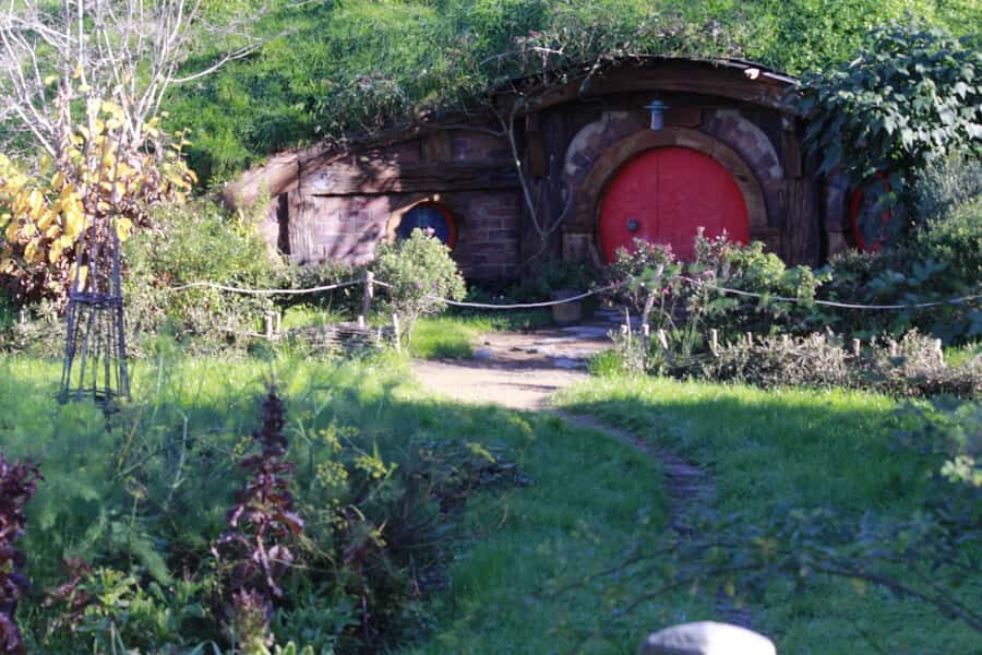 From Auckland: Hobbiton & Rotorua Tour with Lunch at Te Puia - Comfort, Walking, and Who This Tour Fits