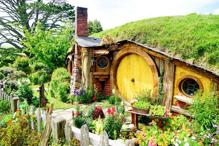 From Auckland: Hobbiton & Rotorua Tour with Lunch at Te Puia - The Scenic Drive Through Waikato and Bay of Plenty
