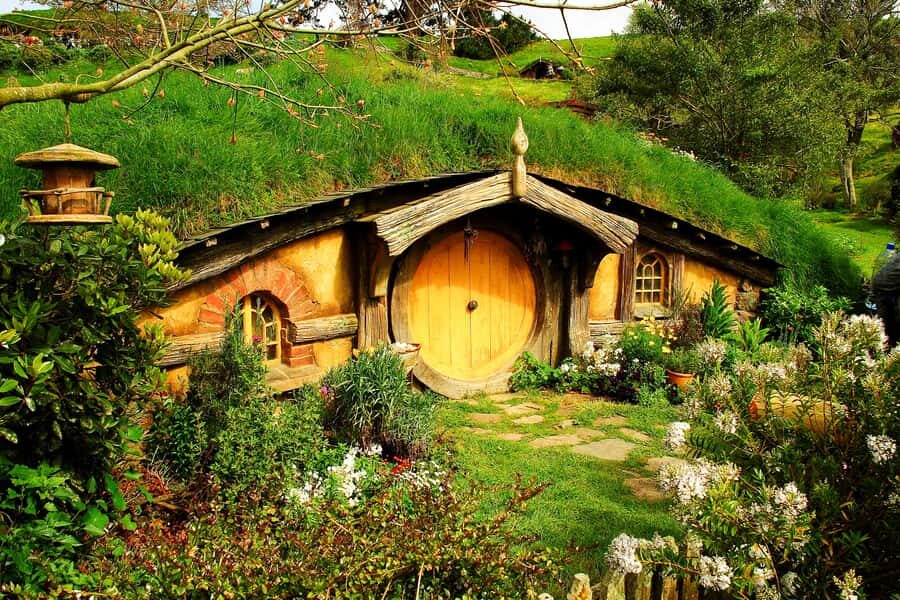 From Auckland: Hobbiton & Rotorua Tour with Lunch at Te Puia - Hobbiton Movie Set: 2.5 Hours That Feels Like Time Well Spent